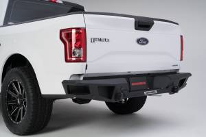 BR20 Rear BR Bumper for Ford F-150
